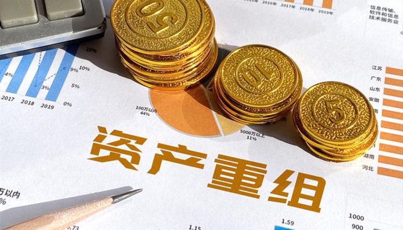 新疆鼎盛汇鑫资产项目投资管理办法解析：行业趋势与实践